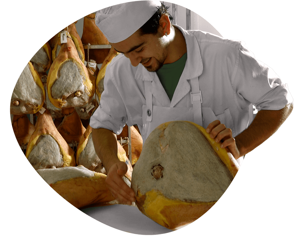 prosciuttificio faleria sugnatura prosciutto marchigiano